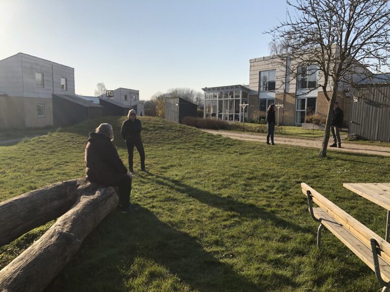 Aktiviteter på Grønningen